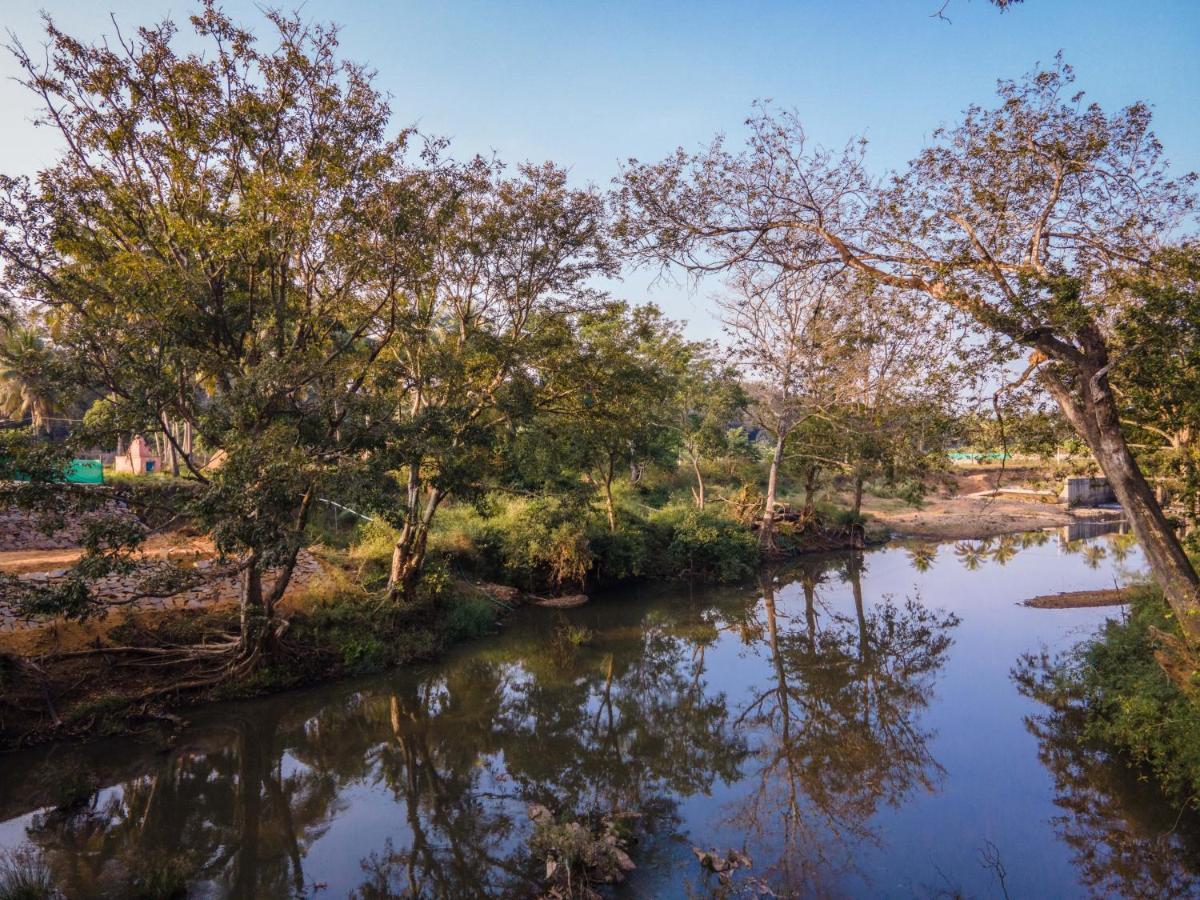 Fortune River Resort Dandeli Esterno foto